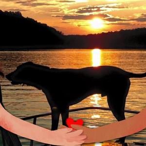 Meet your Posher, Debra